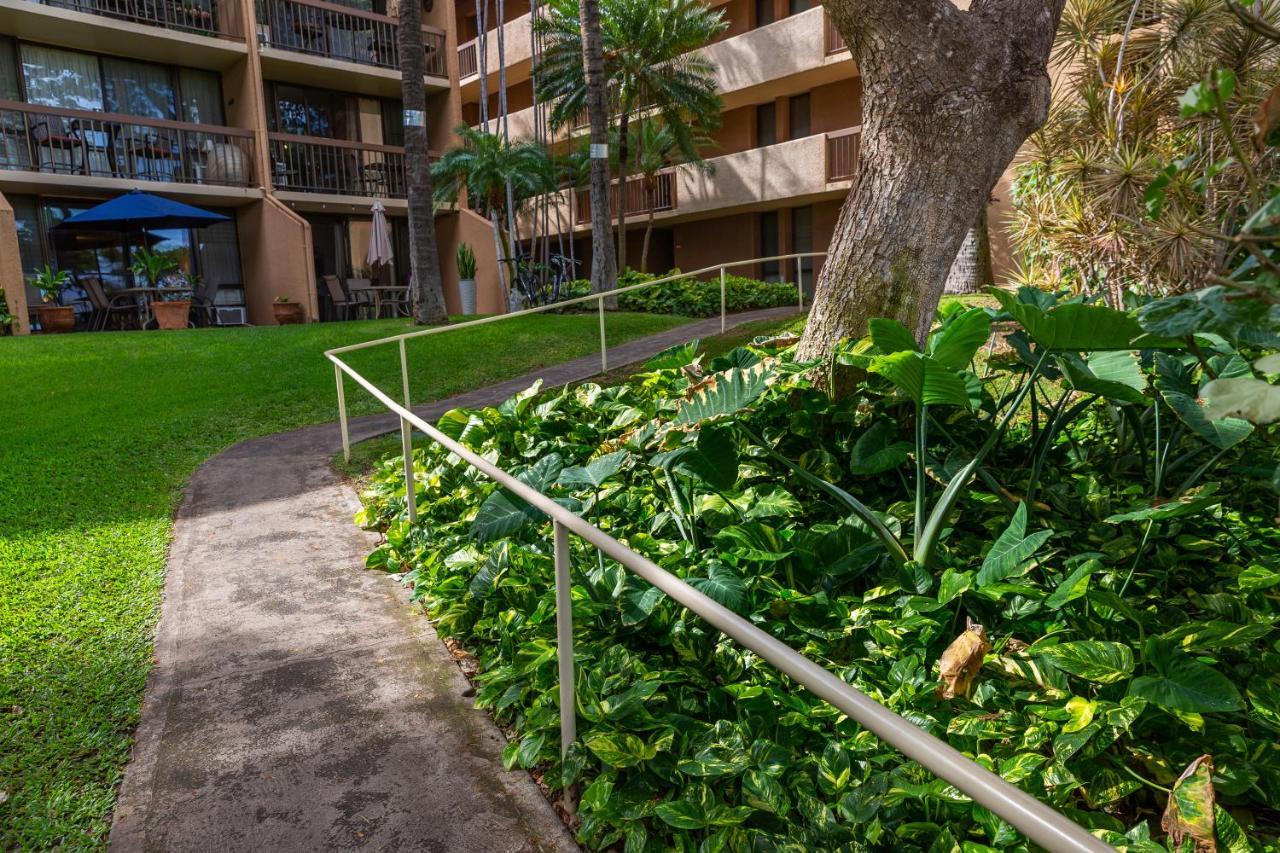 Maui Vista Vacation Condo Kihei Buitenkant foto